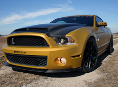 Ford Mustang Shelby GT 640 Golden Snake