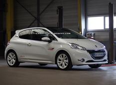 Clara Automobile рассказал о Peugeot 208 Rallye