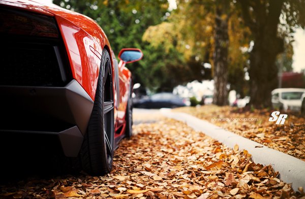 Lamborghini Aventador Wild Bull от SR Auto Group