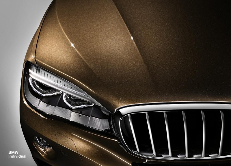 BMW представил X6 Individual