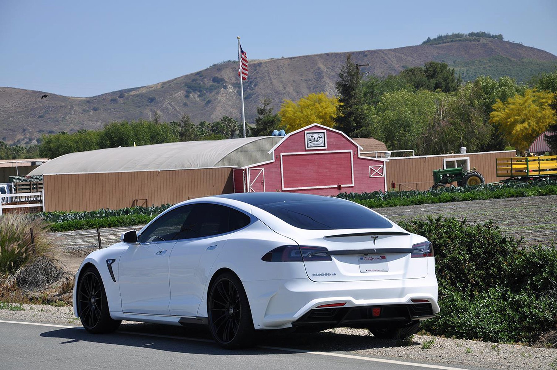 Tesla Model S Elizabeta от LARTE Design