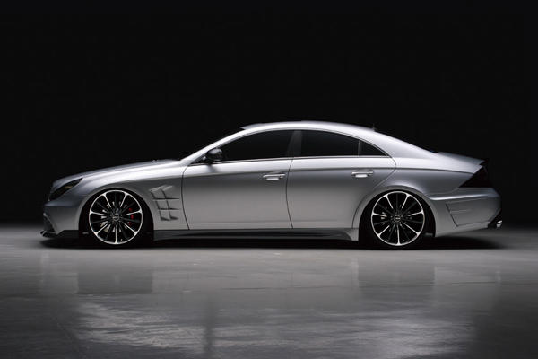 Mercedes-Benz CLS W219 Black Bison от Wald