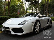 Lamborghini Gallardo LP 560-4 Toro в тюнинге DMC