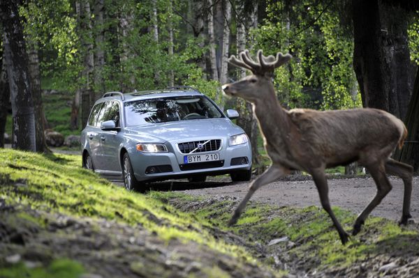 Volvo разрабатывает новые системы безопасности