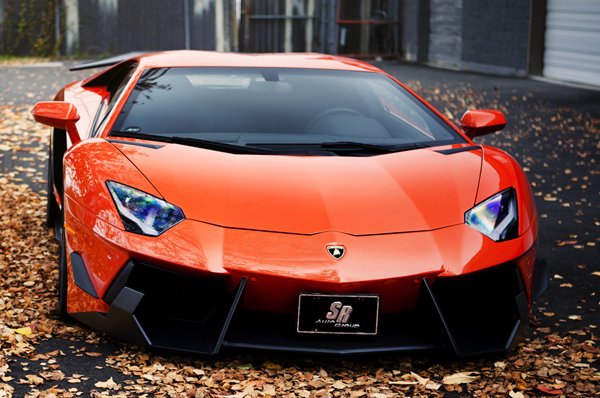 Lamborghini Aventador Wild Bull от SR Auto Group